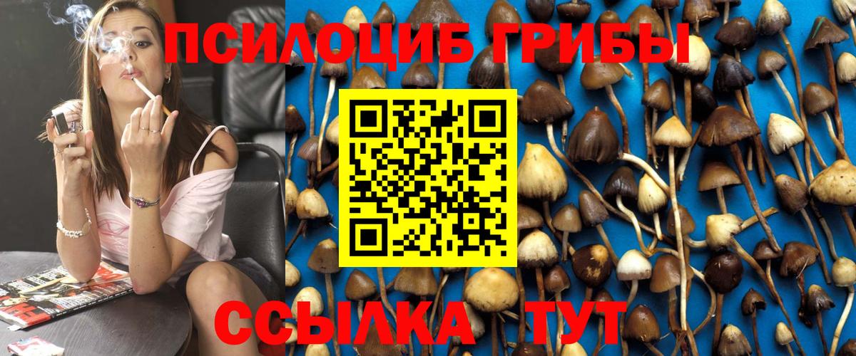 Краснодар  Галлюциногенные грибы Cubensis  Вход с VPN 